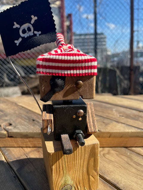 Piratrobot